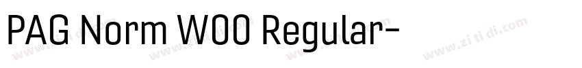 PAG Norm W00 Regular字体转换 PAG Norm W00 Regular字体转换